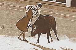 Photographie du torero José Tomás, à Valladolid le 13 septembre 2002, devant un toro de El Torreón.