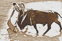 Photographie du torero Stéphane Fernandez Meca devant un Miura à Arles le 30 mars 1997.