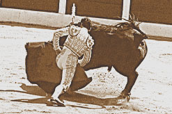 Photographie du torero Carlos Escolar Frascuelo, à Céret, le 15 juillet 2000, devant un toro du Cura de Valverde.